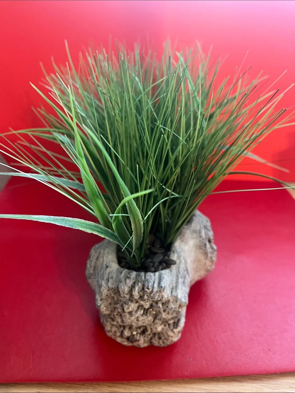 Rustic Driftwood Planter with Green Artificial Grass 12”L 9”H